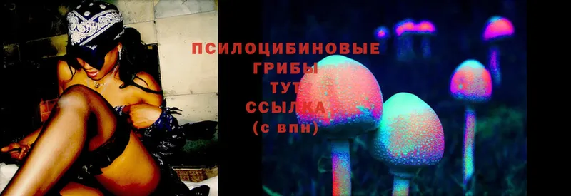 Галлюциногенные грибы Cubensis  Туймазы 